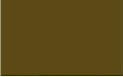 IL COLORE PIÙ BRUTTO DEL MONDO